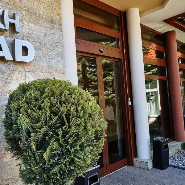 Hotel Rad, hotel v destinaci Grudziądz