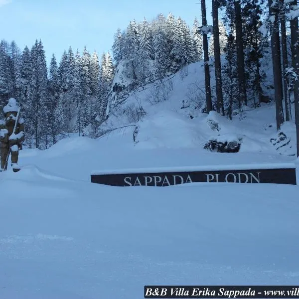 Villa Erika – hotel w mieście Sappada