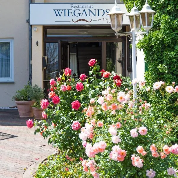 Trollinger Hof, hotel v destinaci Bad Oeynhausen