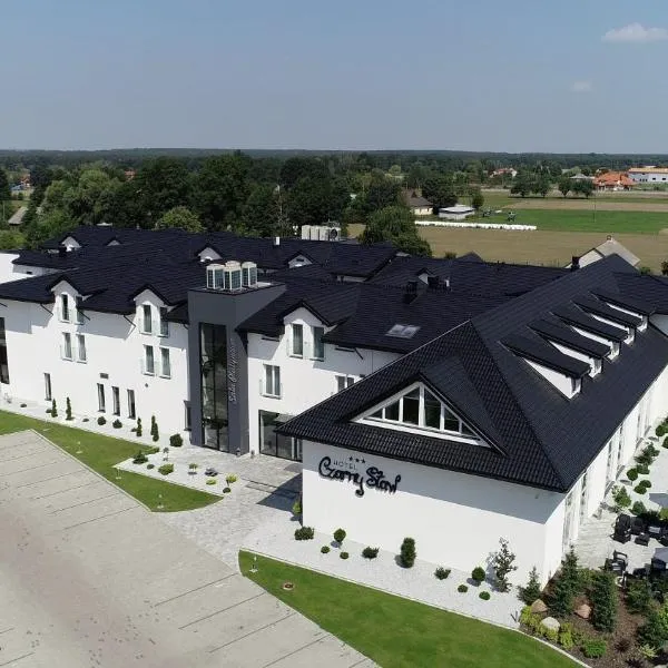 Czarny Staw, hotell i Aleksandrów Łódzki