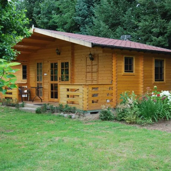 Pensjonacik Ogrody โรงแรมในPierzchno