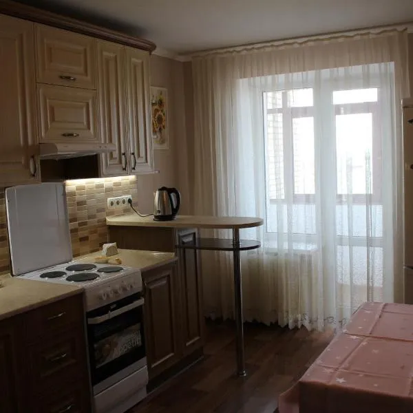 Комфортабельна квартира, отель в городе Pirogovo