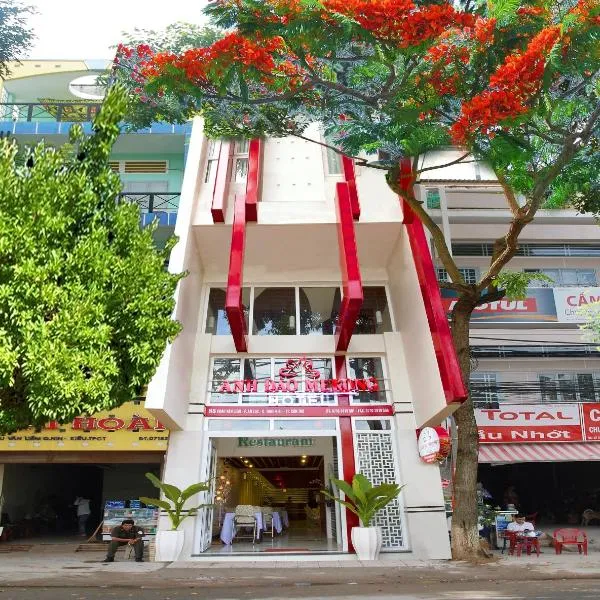 Anh Dao Mekong Hotel, hotel v destinaci Can Tho