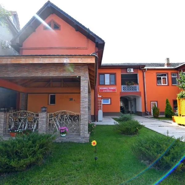 Trident, hotel in Toteşti