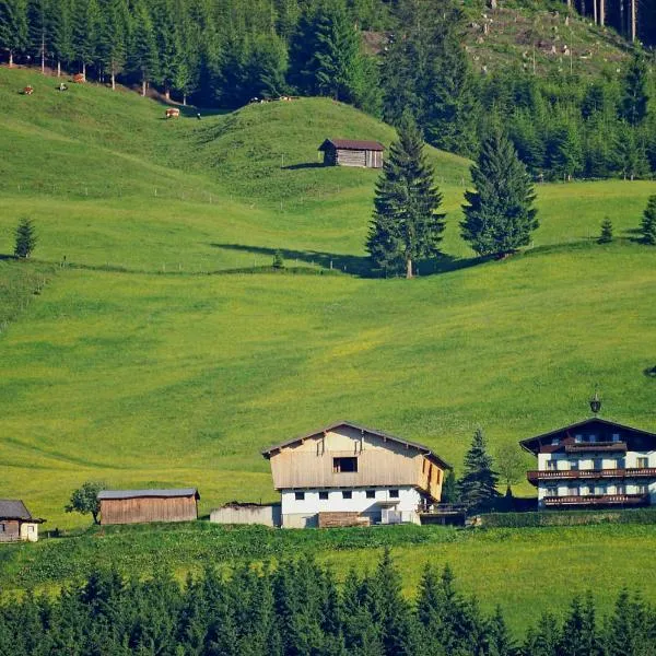 Ferienhaus Hochwimmer, hotel in Hollersbach im Pinzgau