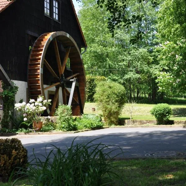 Landgasthof Geiersmühle, hotel v destinaci Vielbrunn