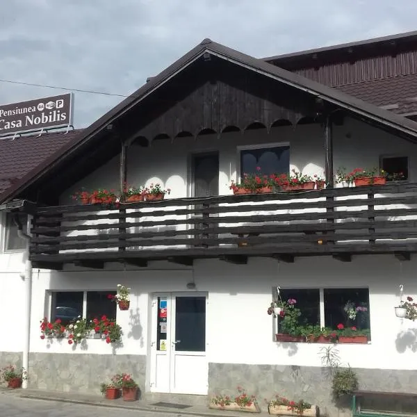 Casa Nobilis, отель в городе Berchişeşti