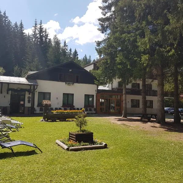 Casa Alpina Dobbiaco, hotel v destinaci Dobbiaco