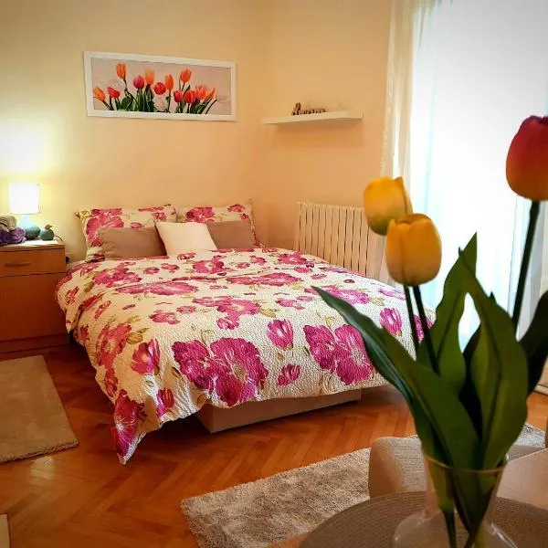 Apartman Lenka, hôtel à Mali Zvornik