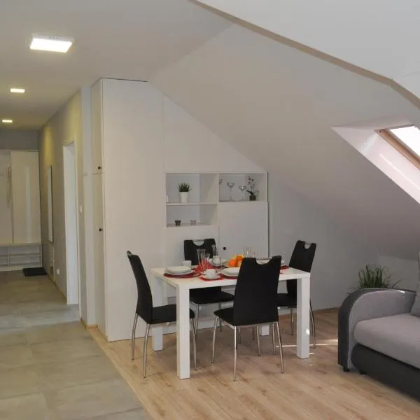 Klimatyzowany Apartament Paris, hotel di Kielce