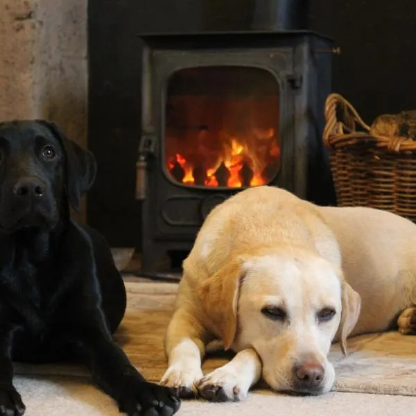 Cardross Holiday Cottages, hotel i Arnprior