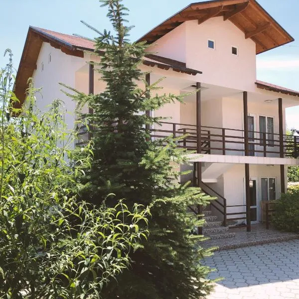 Guest House LETO, отель в Долинке