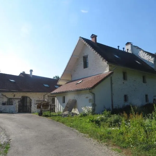 L'Hermitage, hotel in Cressin-Rochefort