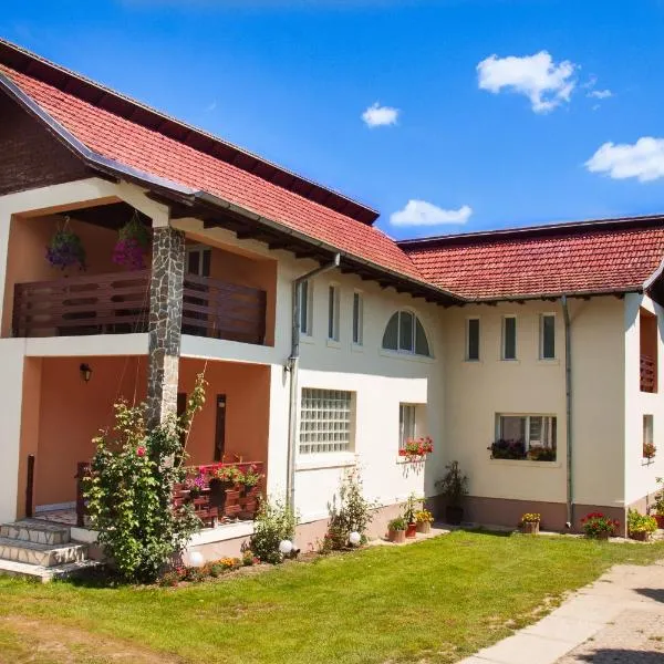 Rustic Argesean, hotel din Oeşti-Pămînteni