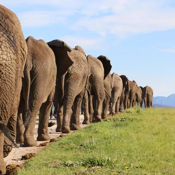 Knysna Elephant Park Lodge, hotell i Harkerville