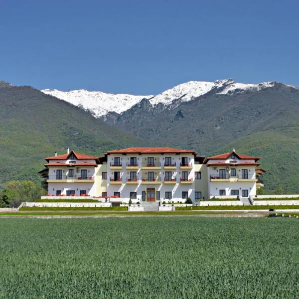 Villa Belles, hotel en Áno Poróïa