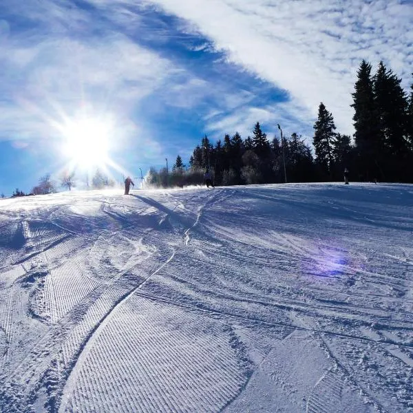 Osmelakowa Dolina, готель у місті Spalona