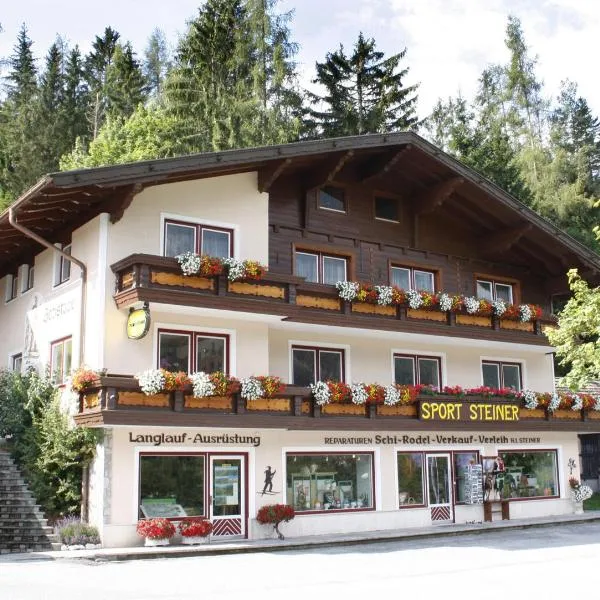 Schistube Steiner, Hotel in Ramsau am Dachstein