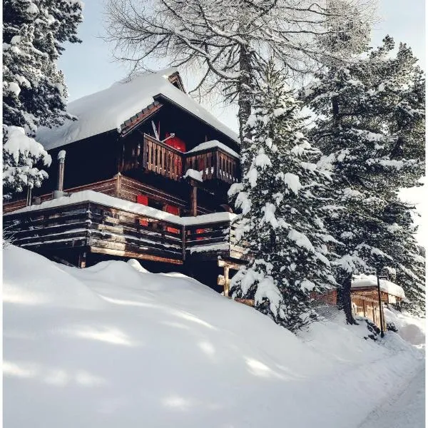 Erlebnis - Hütten Falkert by S4Y, hotel v destinaci Patergassen