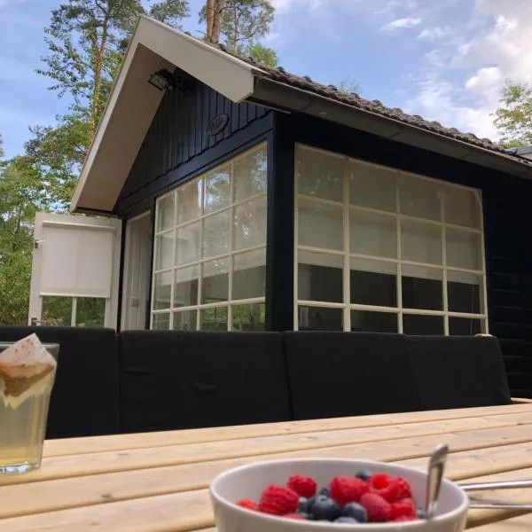 vakantiewoning De Lutte, hotel din De Lutte
