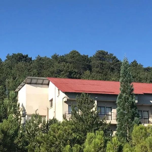 Health Habitat Hotel & Slimming Resort، فندق في بيدولاس