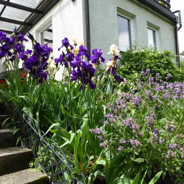 FeWo Batek, hotel in Trechtingshausen