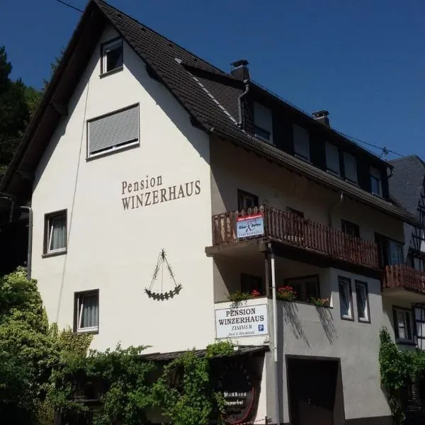 Hotel Pension Winzerhaus, hotel in Bacharach