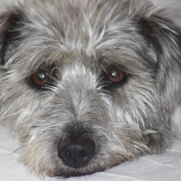 펠보름에 위치한 호텔 Tammwarftshof