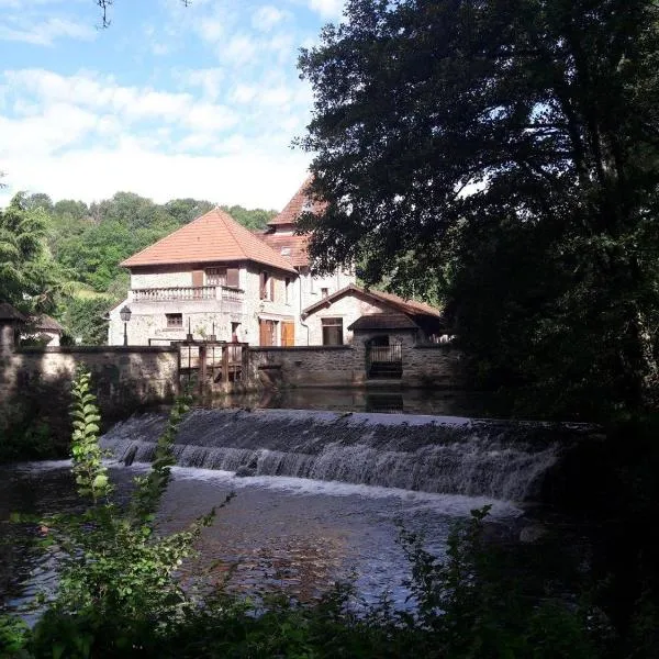 Le moulin régnelot - Chambre d'hôtes, hotel in Saint-Martin-du-Boschet