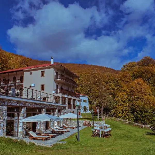 Manthos Mountain Resort & Spa, hotel in Véneton