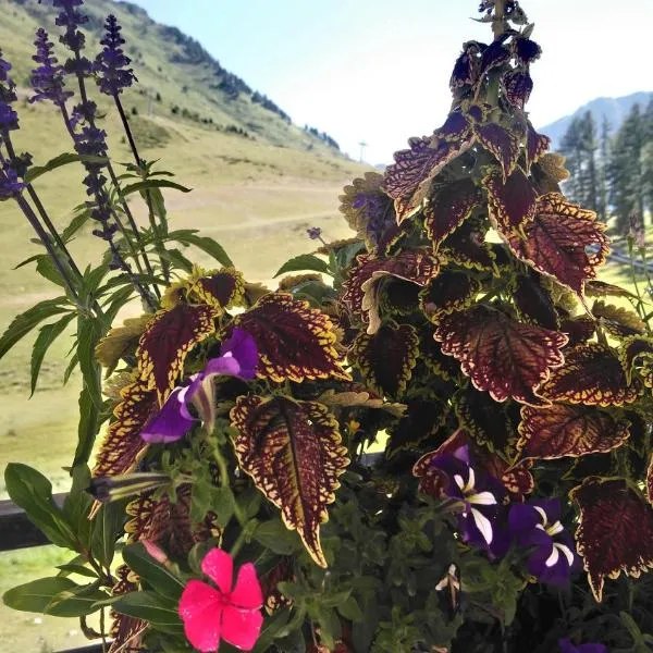 STUDIO en PLEINE MONTAGNE AVEC VUE SUR MARMOTTES、ラ・モンジーのホテル