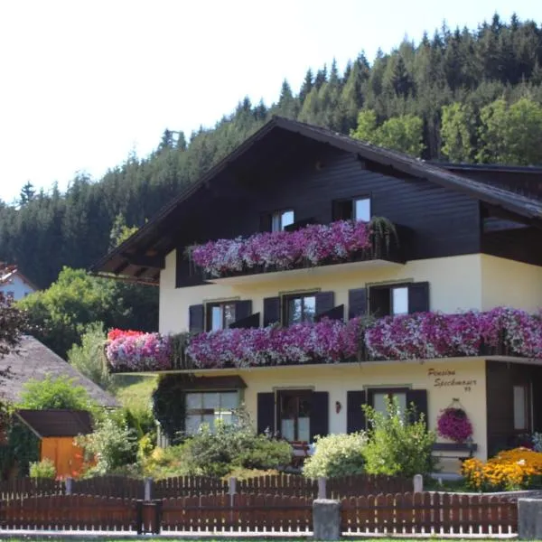 Pension Speckmoser: Bad Mitterndorf şehrinde bir otel