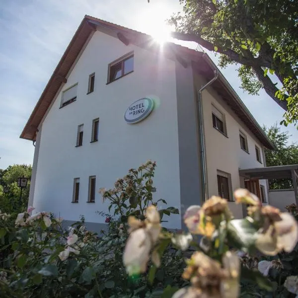 Hotel am Ring, hotel v destinaci Magdeburk