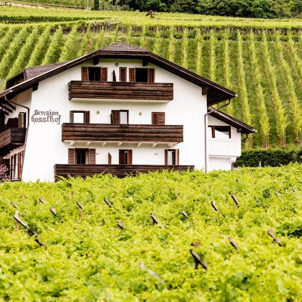 Pension Hasslhof, hotel en Caldaro sulla Strada del Vino