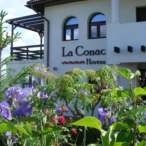 La Conac, hotel en Horezu