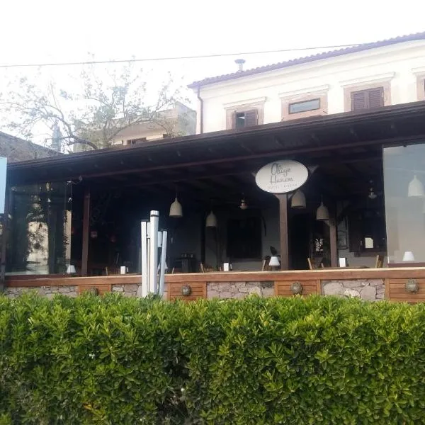 Aliye Hanim Hotel, hotel v destinaci Ayvalık