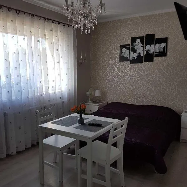 Pokoje Adriano, khách sạn ở Grudziądz