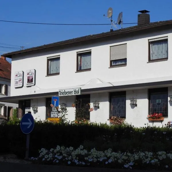 Triebener-Hor, hotel a Friedrichsthal