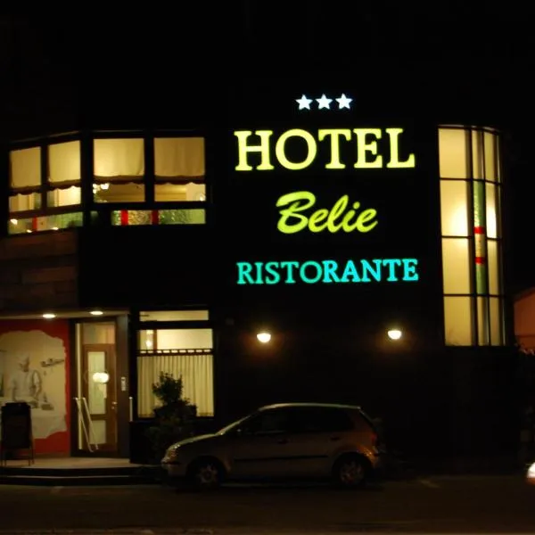 San Martino di Lupari에 위치한 호텔 Hotel Belie