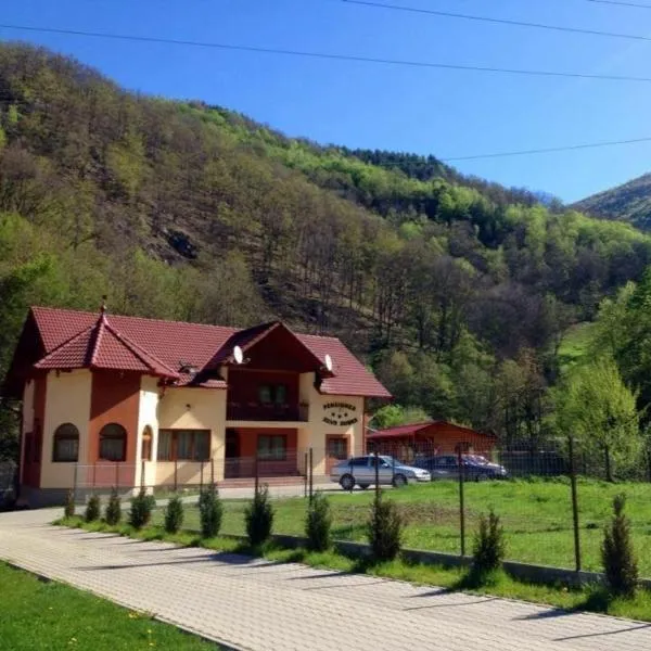 Pensiunea Silva Dobra, hotel v destinácii Şugag