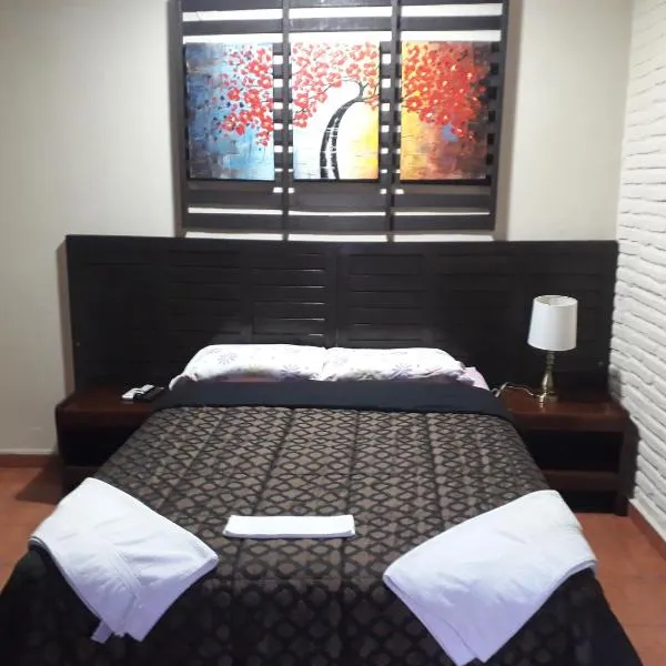 Residencia Leones de Castilla, hotel v destinaci Asunción
