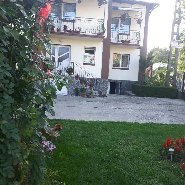 Pensiunea Diana, Hotel in Cicanesti