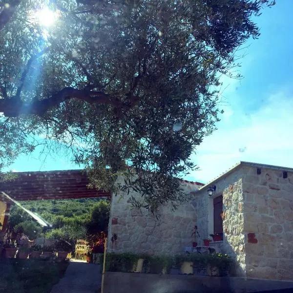 Country House at Alexandroupoli (Dikella), hotel in Mákri