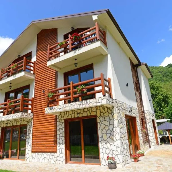 Villa 'Iva', hotel in Mavrovo