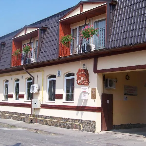 Vila Veche, hotel en Haţeg