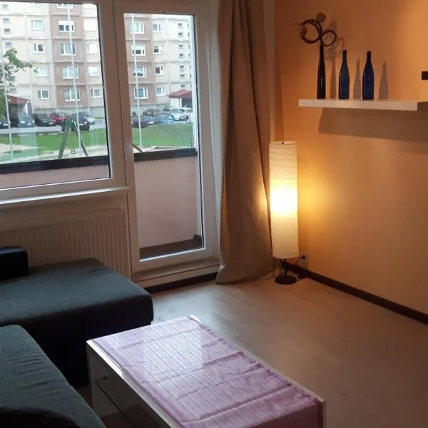 Anne 80 Apartment, hotel a Igevere