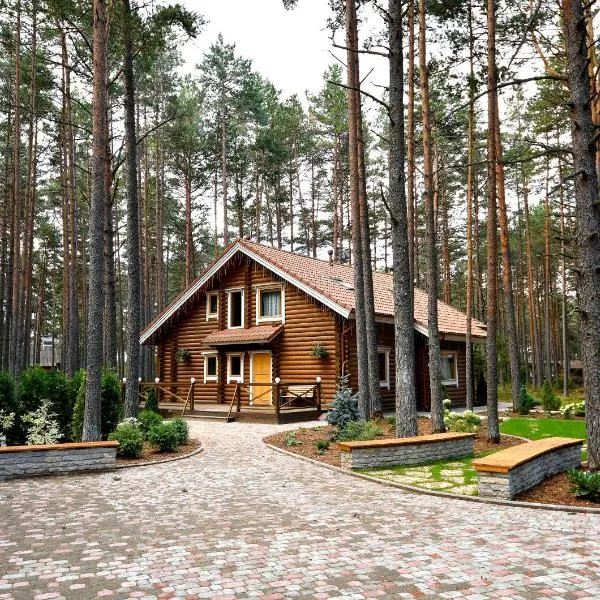 Okka Holiday Home, hotel in Remniku