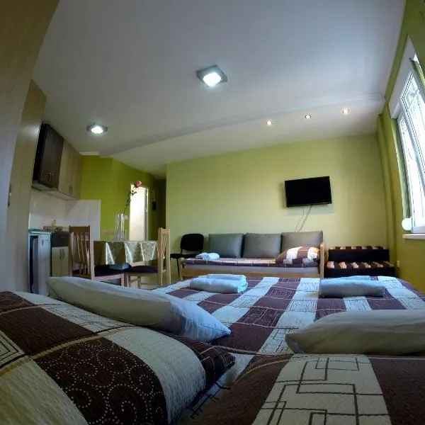 Apartments Popovic, hotel in Belgrade