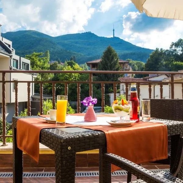 Hotel Villa Boyana - Free Parking, hotel in Ivanyane