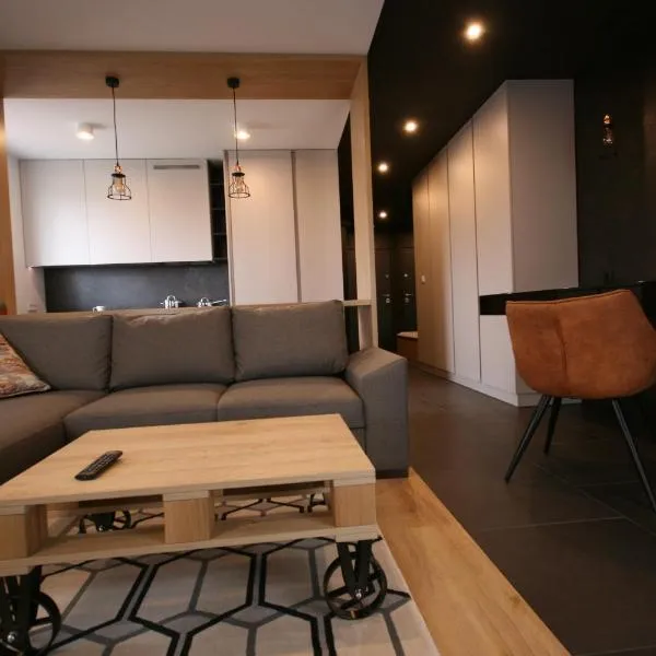 APARTAMENT ZAGNAŃSKA - Garaż, hotel in Kielce